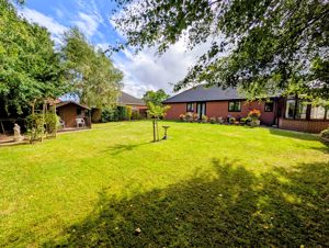 Photo 11- click for photo gallery